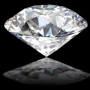 Meet your Posher, Bolor